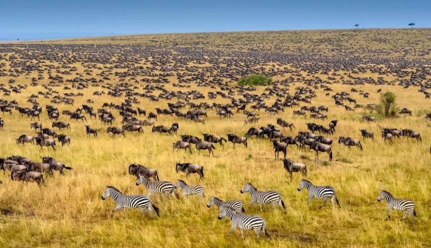 マーサイマーラ国立保護区、ケニア