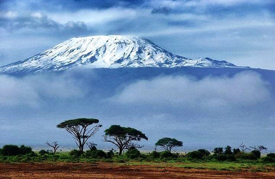 Parque Nacional Kilimanjaro, Tanzania