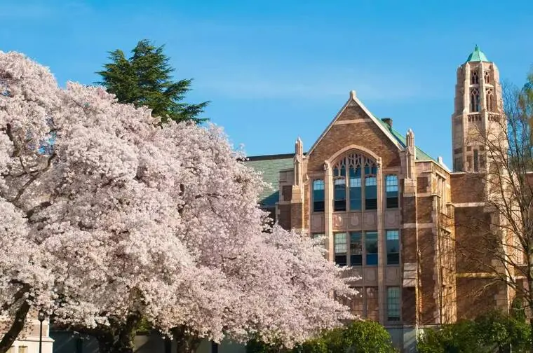 华盛顿大学的树木和校园建筑
