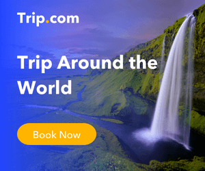 Trip.com 留学生特价机票